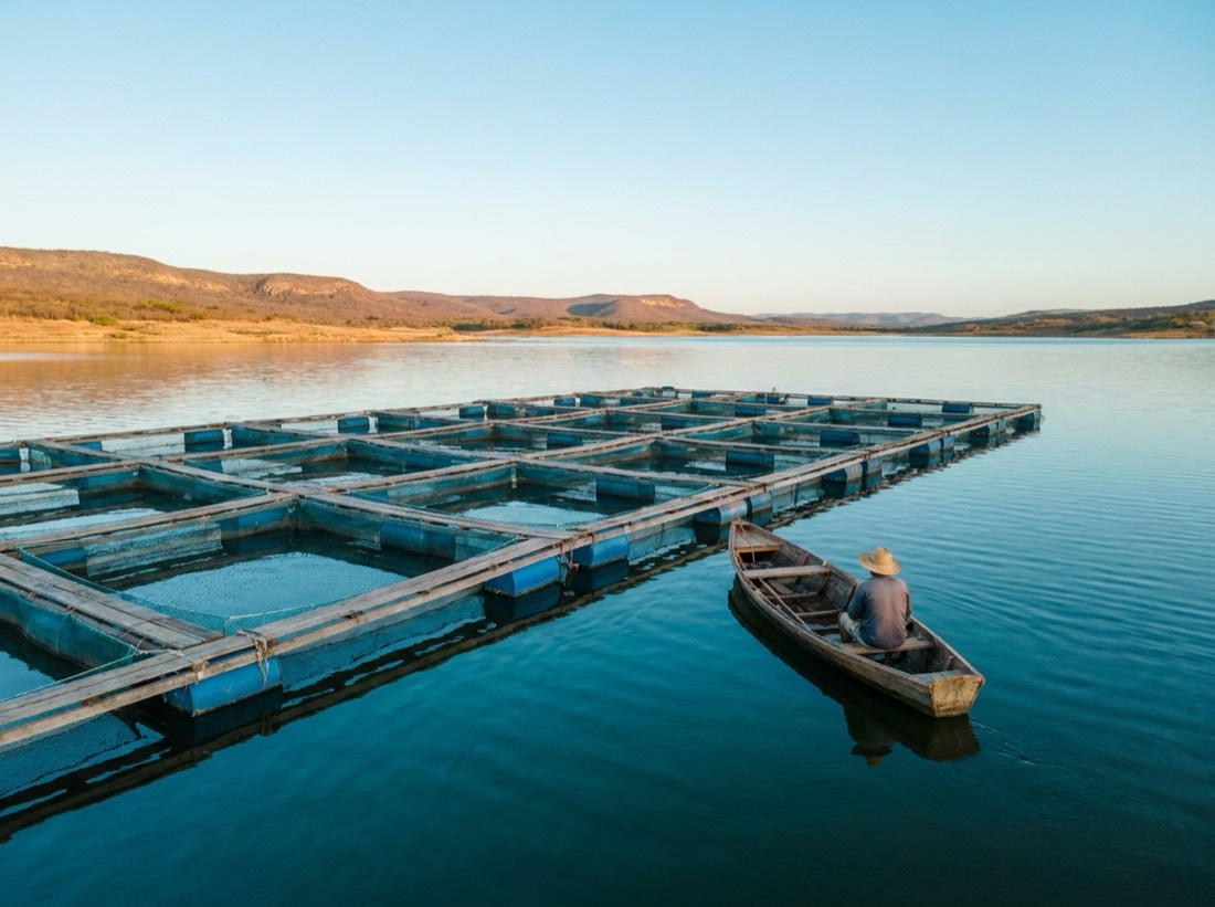 Tanques-rede de aquicultura em um açude com um barco de pesca